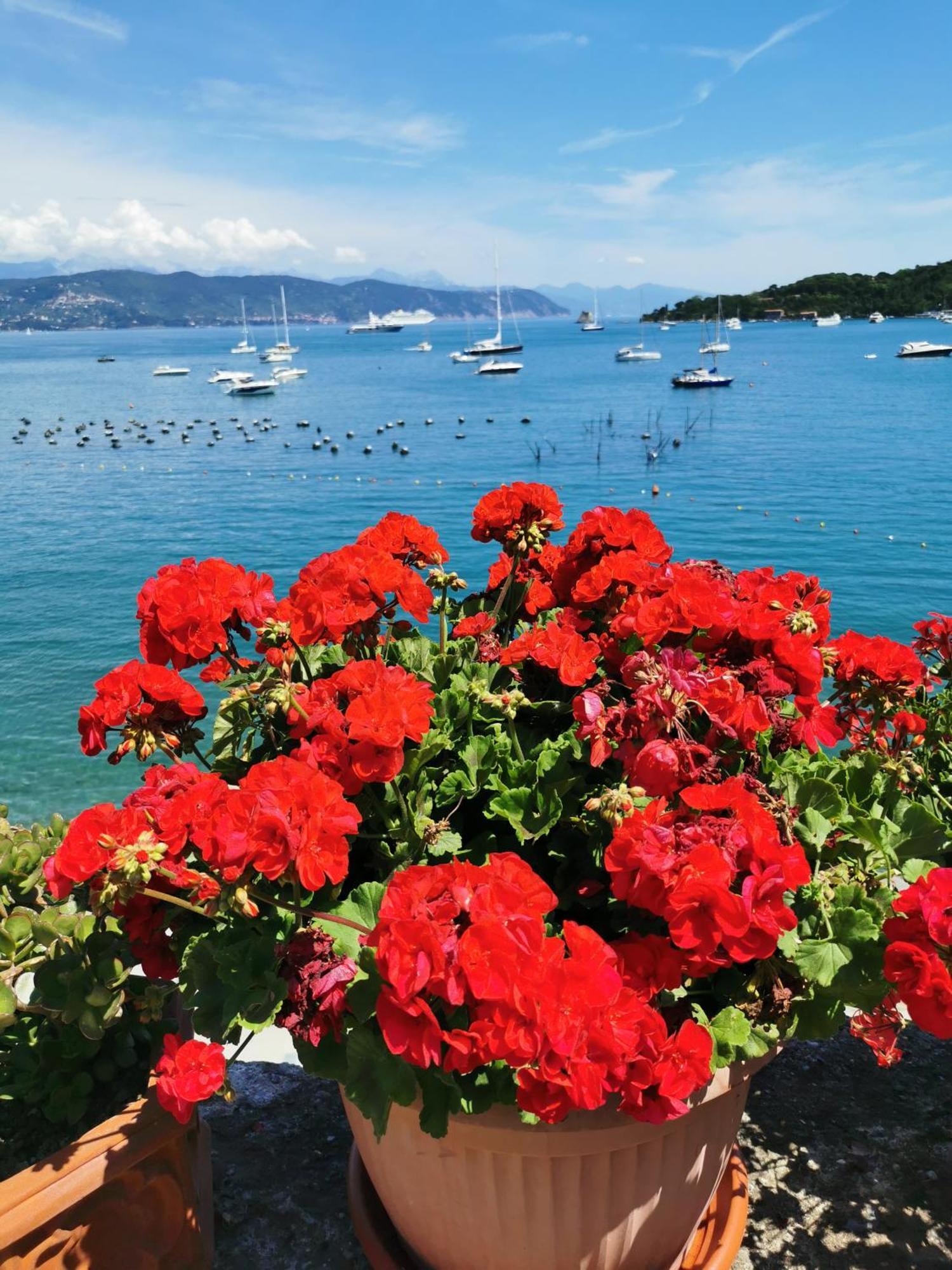 B&B La Palafitta Porto Venere Esterno foto